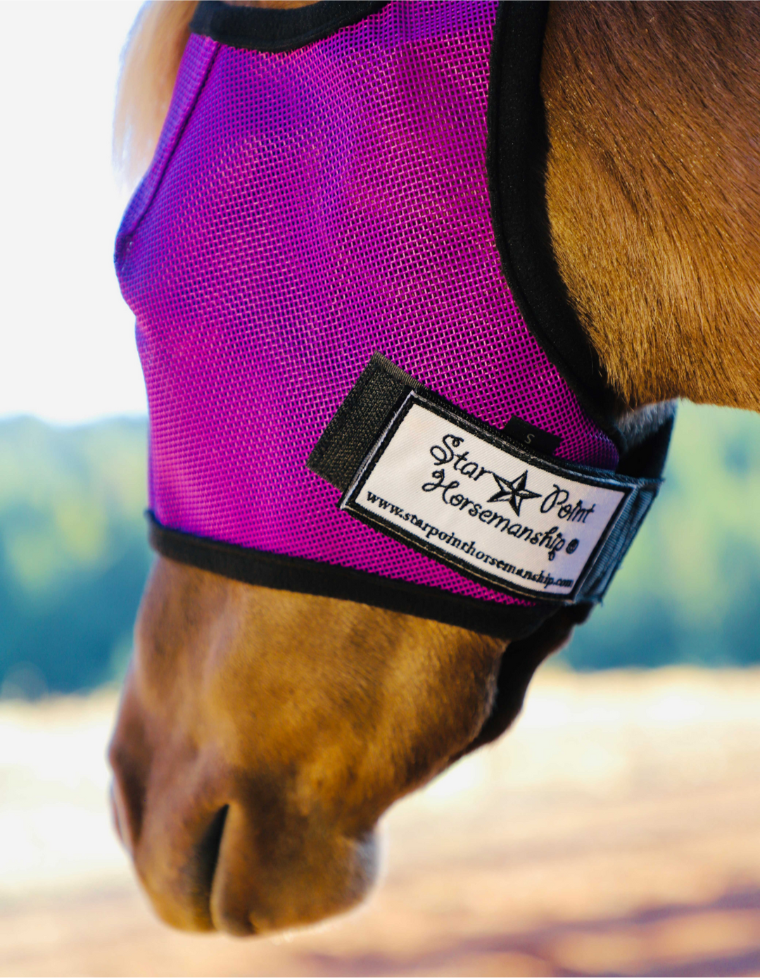 Star Point Fly Mask - Mini to Horse Size - Star Point Horsemanship