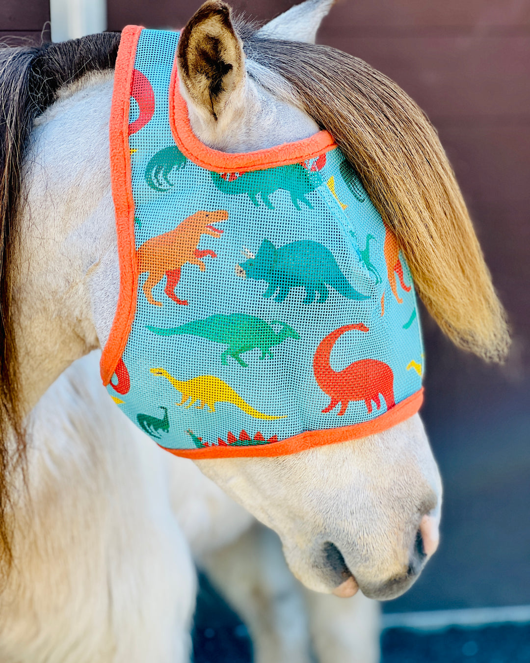 Dinosaur Fly Mask (Mini to Horse Size) - Star Point Horsemanship