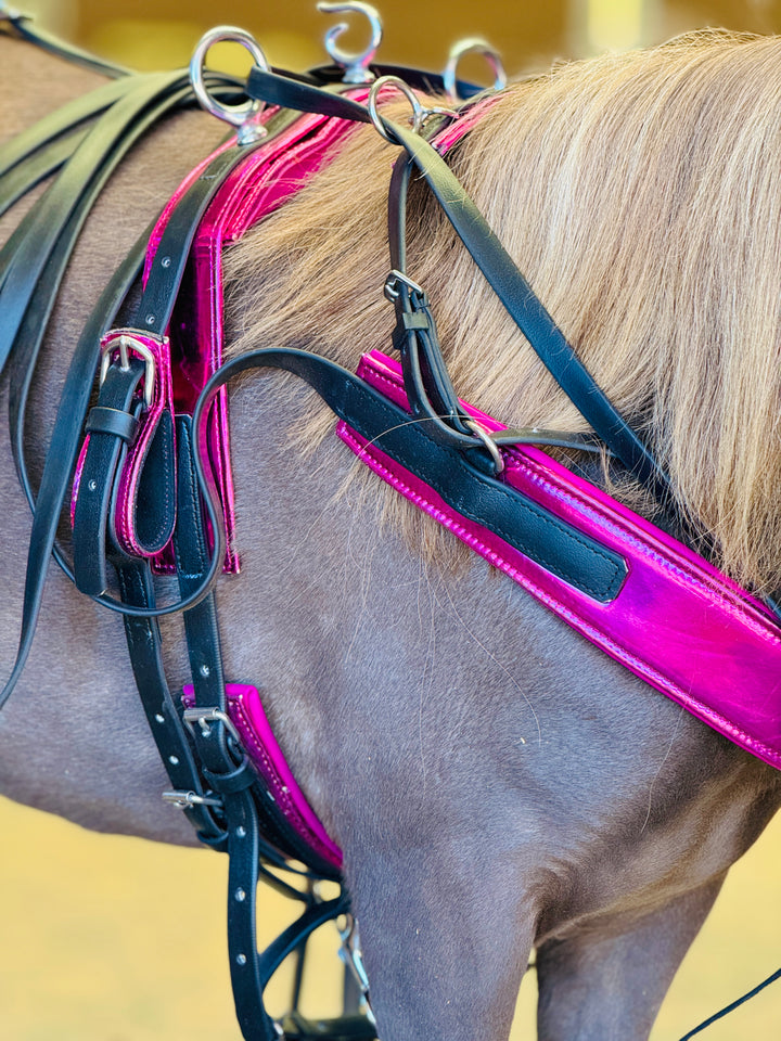 Biothane Mini Harness Harnesses & Driving Equipment | Quality Tack for Mini Horses