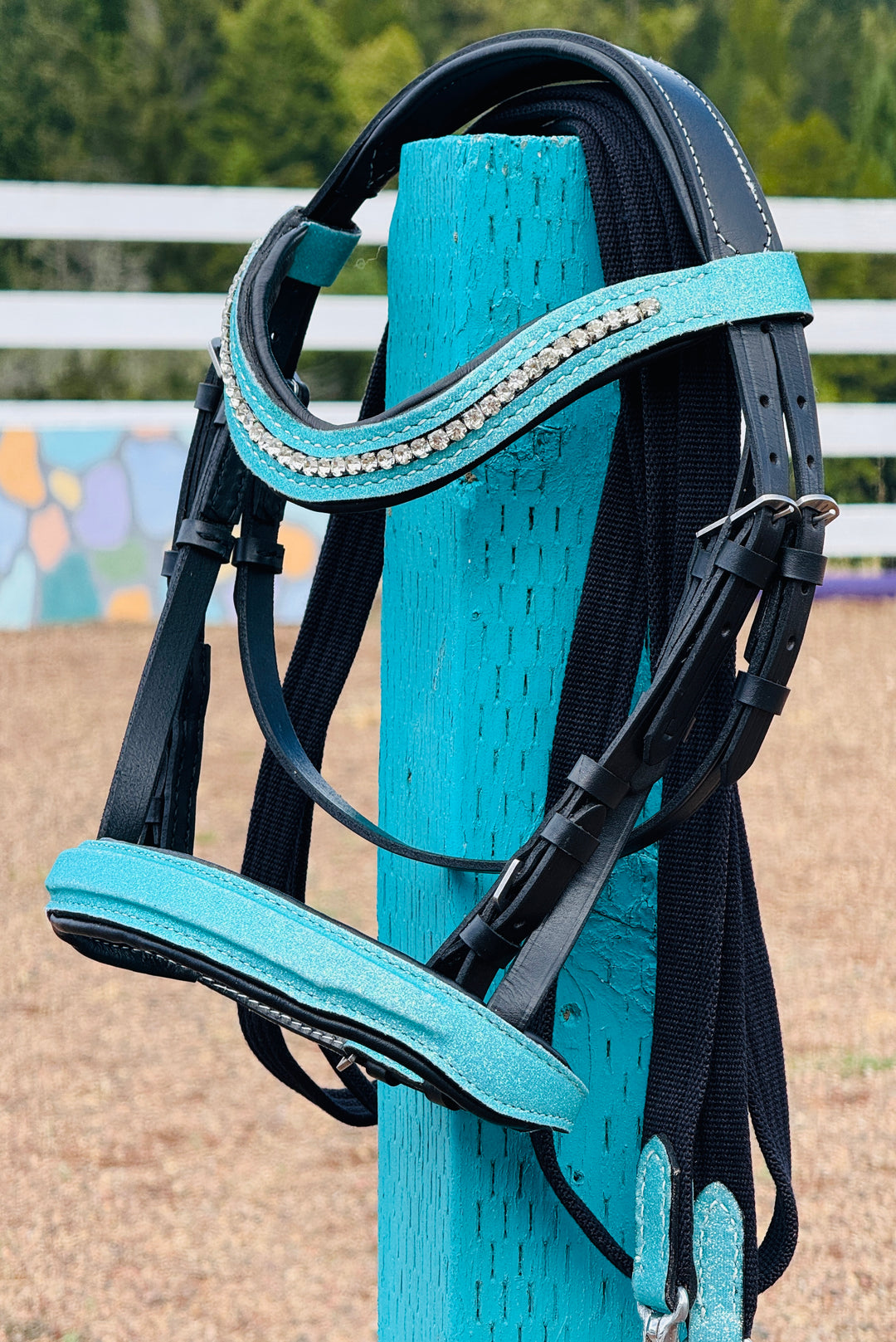 Miniature Horse Leather Bridle & Reins Set | Star Point Horsemanship