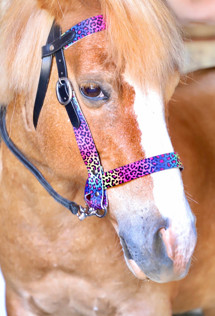 Mini-Pony Bridle-Side Pull Combo w/Reins - Star Point Horsemanship