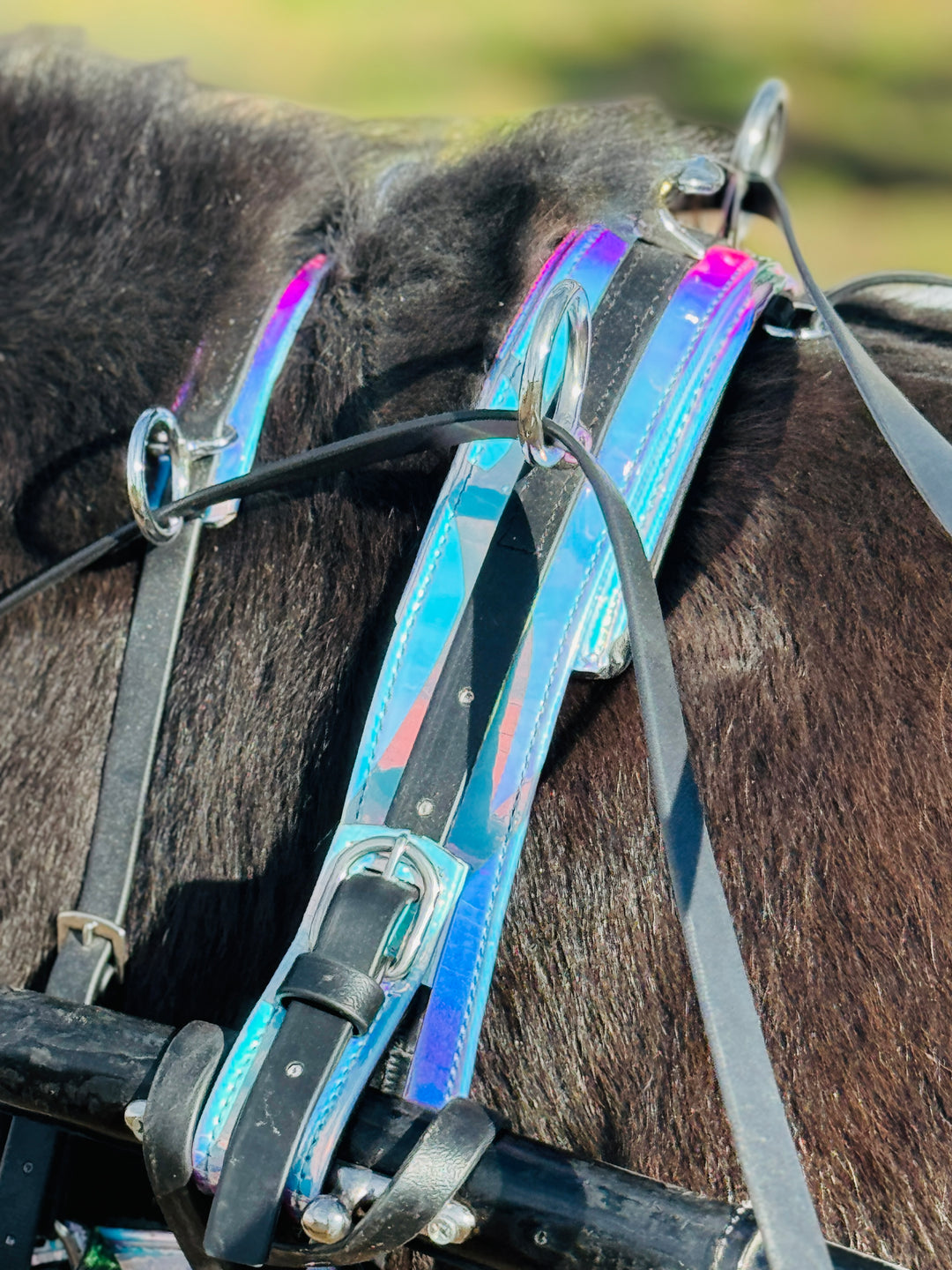Miniature Horse Silver Holographic Leather Harness Set