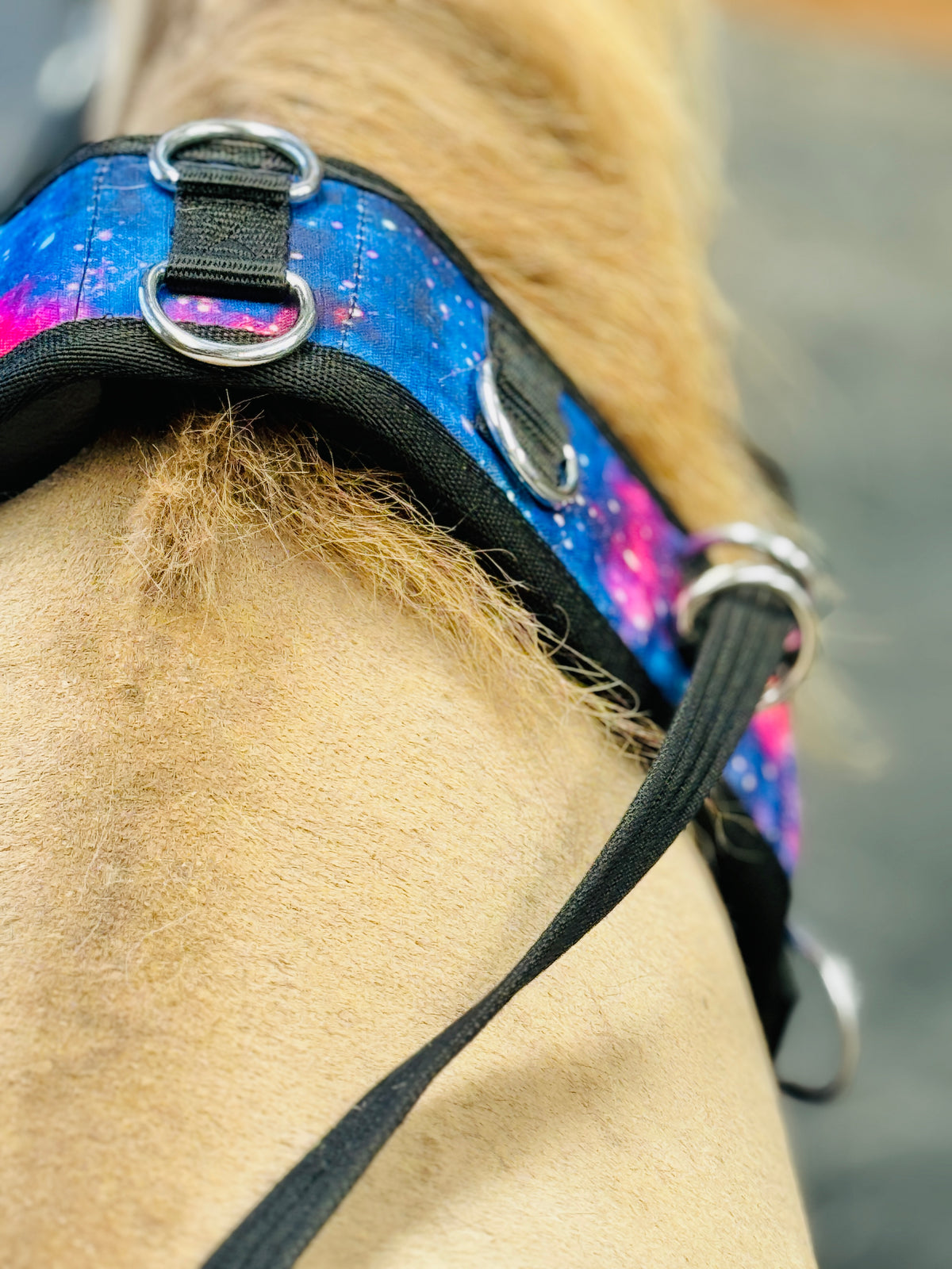 Surcingle Set Miniature Horse-Pony Ground Driving Surcingle/Reins Set