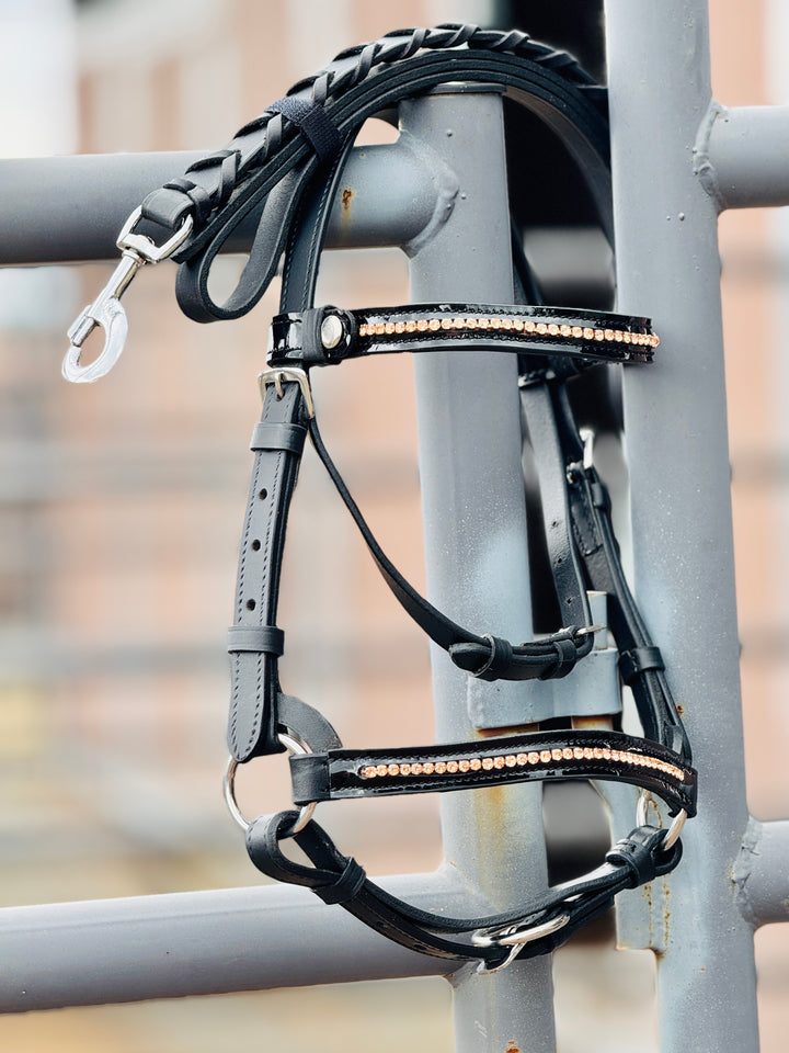 Miniature Horse Hunter Bridle & Braided Leather Lead Set