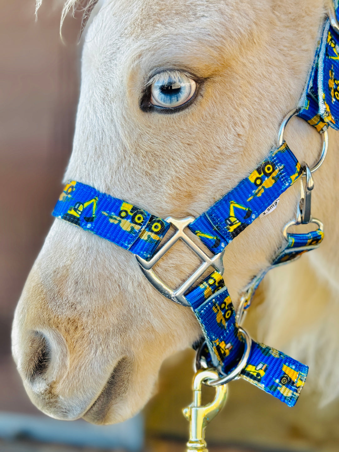 Star Point Printed Halter - Mini, Pony & Horse Size