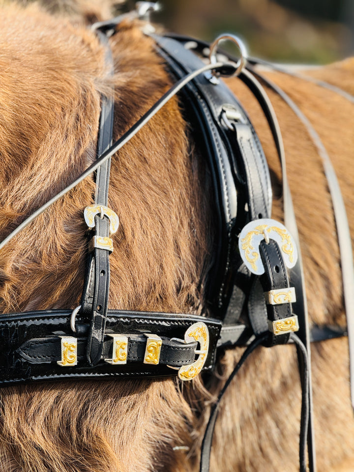 Miniature Horse Leather Show Harness Set - 30-38" Mini