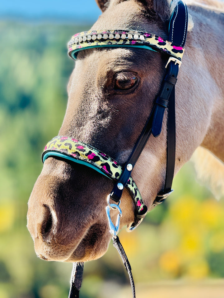 Mini-Pony Bridle-Side Pull Leather Combo w/Reins