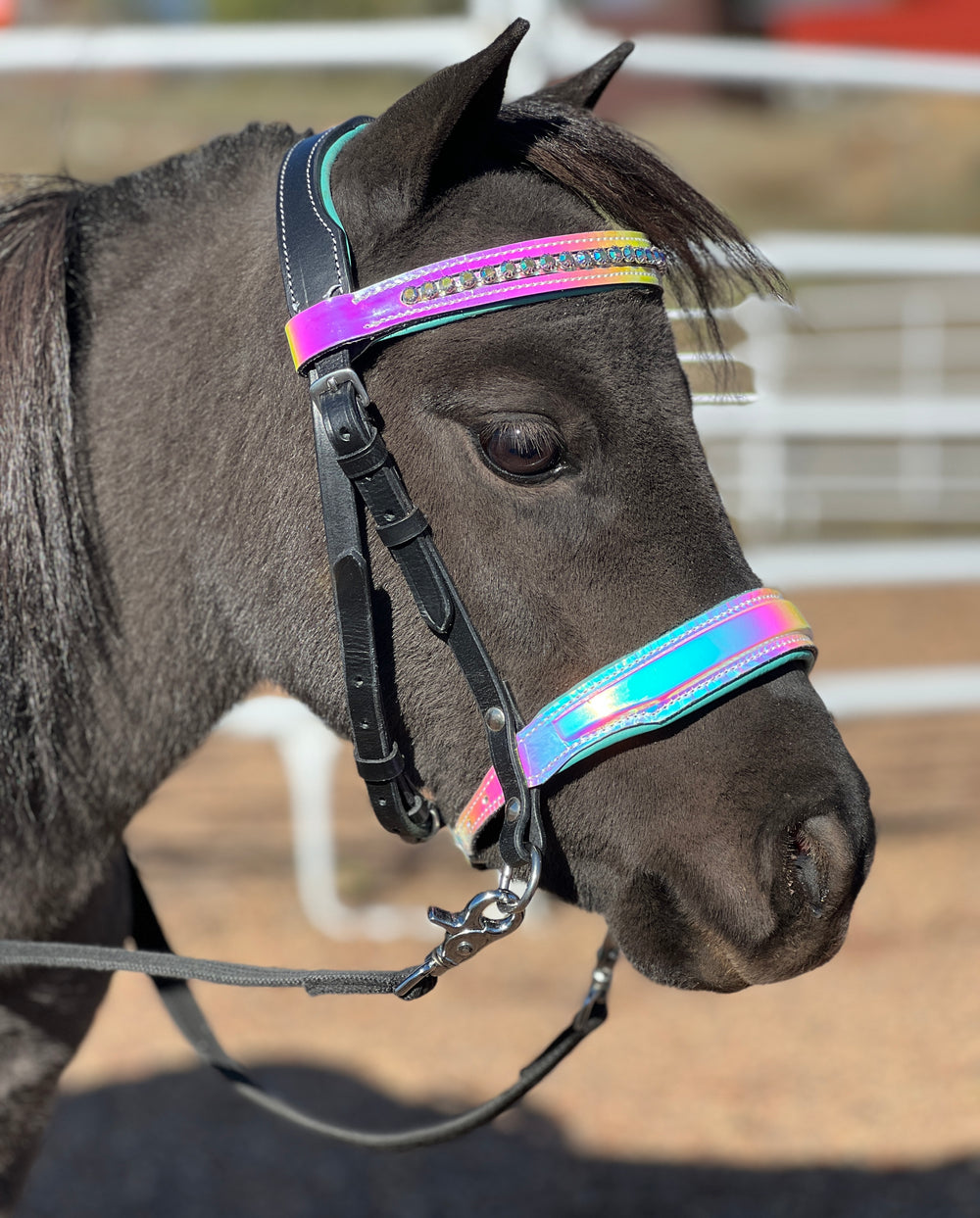 Holographic Leather Bridle/Reins Set (Mini & Pony Sizes) - Star Point Horsemanship