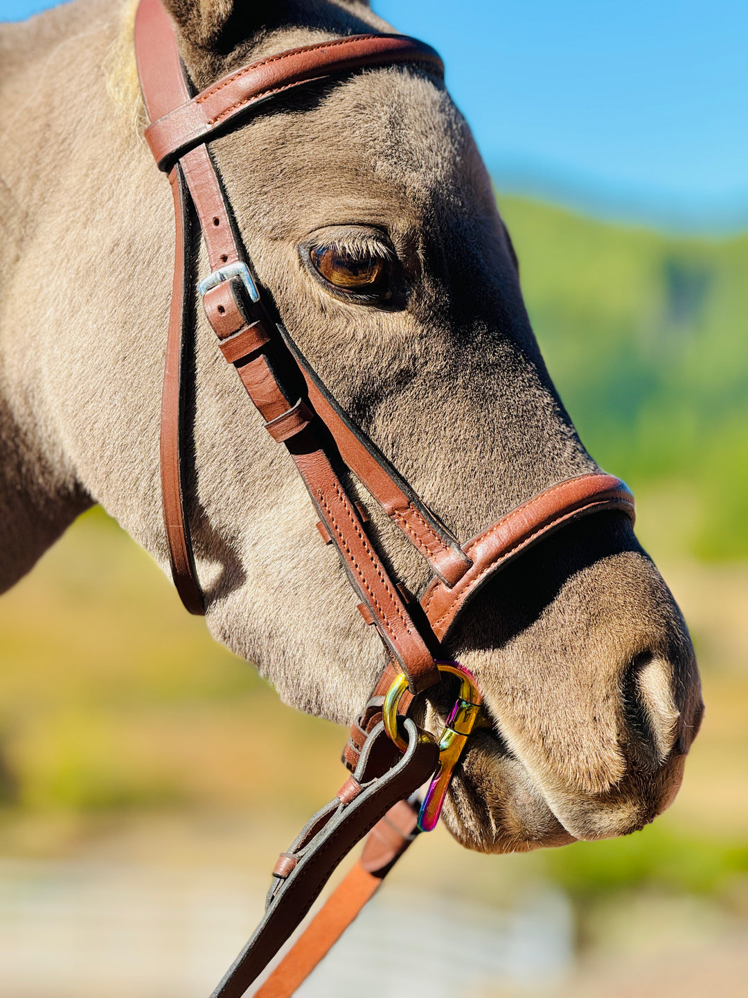 Miniature Horse Brown Leather English Bridle & Braided Reins Set