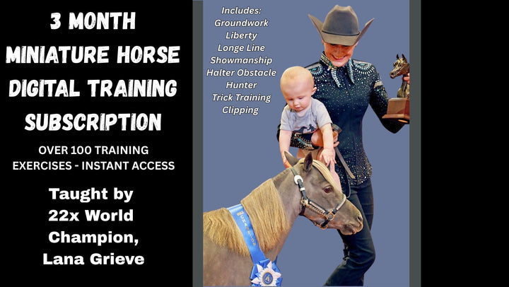 3 MONTH Miniature Horse Digital Subscription Training Package