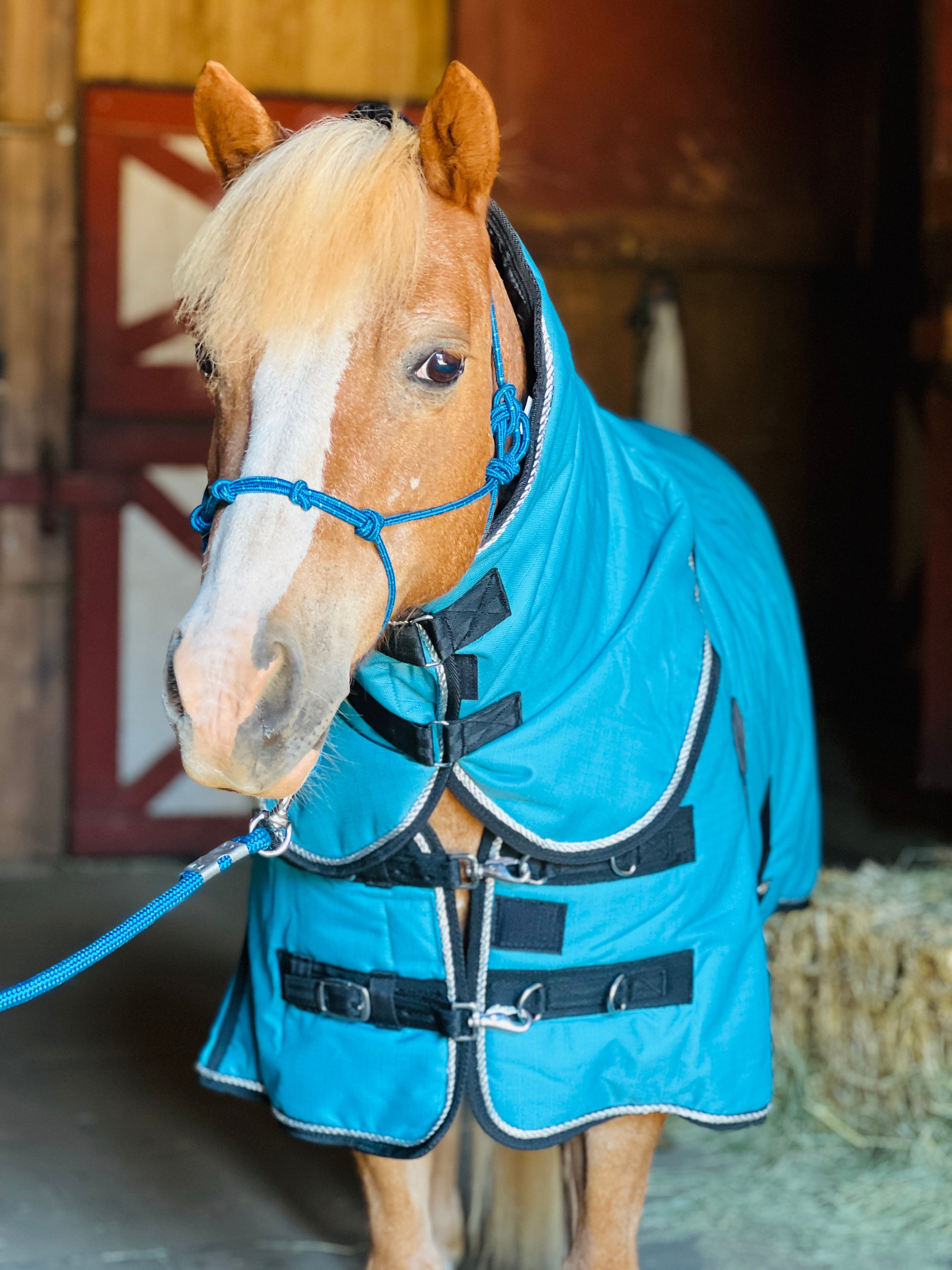 Schneiders® Adjusta-Fit® Tekno-Fleece® V-Free® Bellyband Stable Blanket |  Schneiders