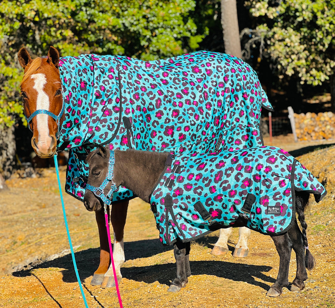 Blanket Belly Strap Extenders (Set of 2) – Star Point Horsemanship