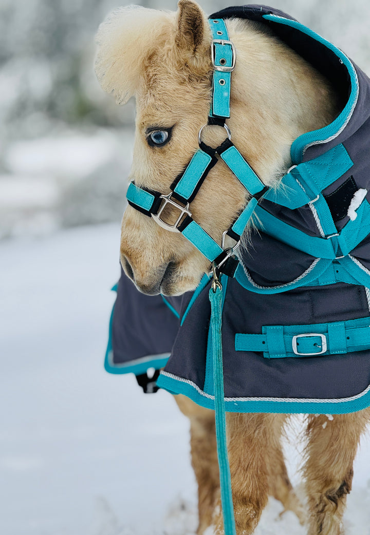 Star Point 1200D Waterproof Turnout Blanket — 400g Extra-Heavy Insulation (38-54")