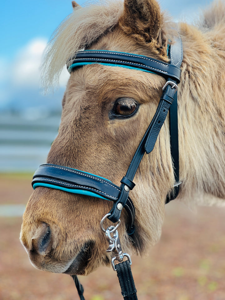 Mini-Pony Black Soft Leather Bridle w/Teal Padding & Reins Set - Star Point Horsemanship
