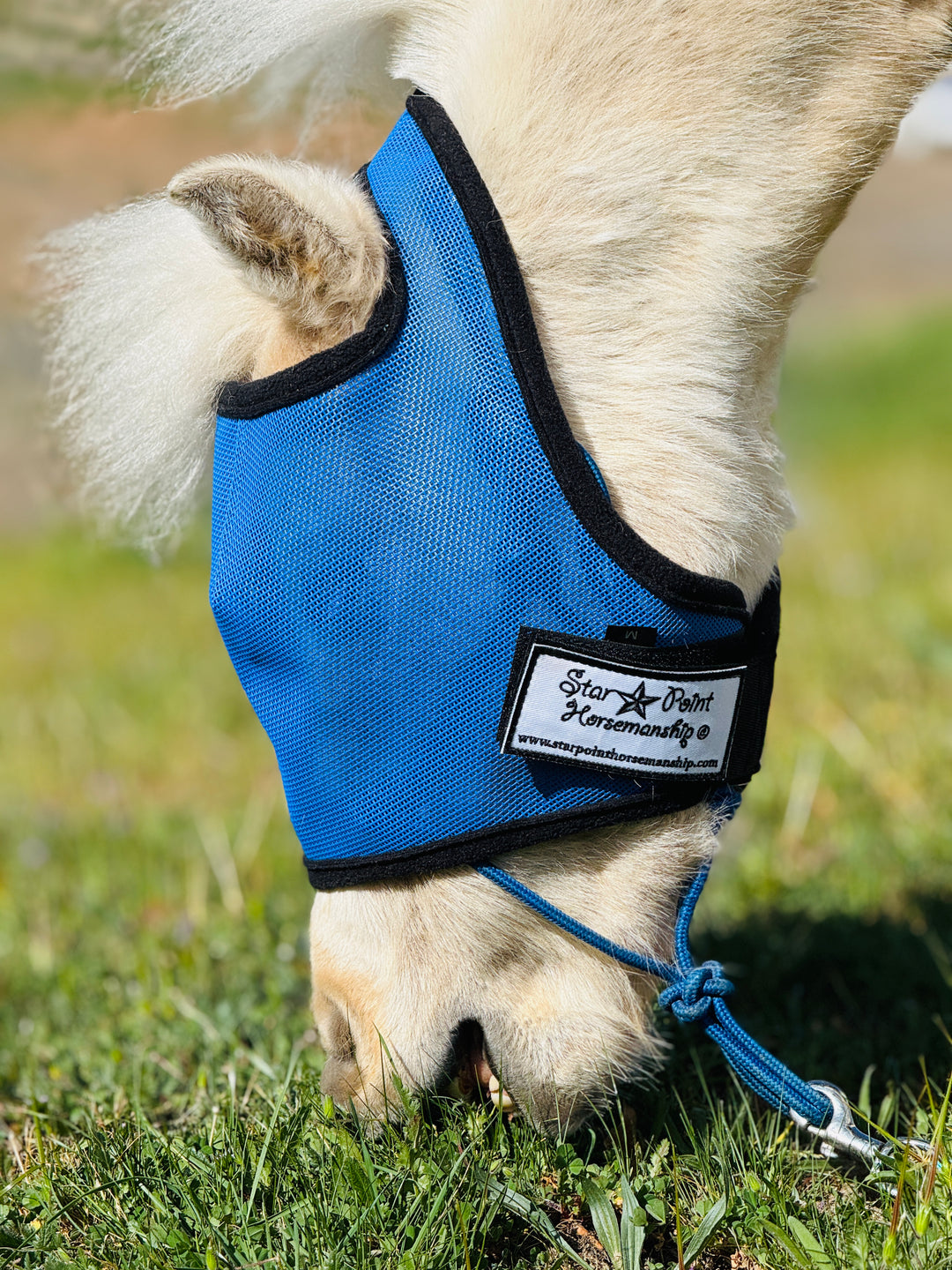 Star Point UV Fly Mask - Mini, Pony & Cob Sizes