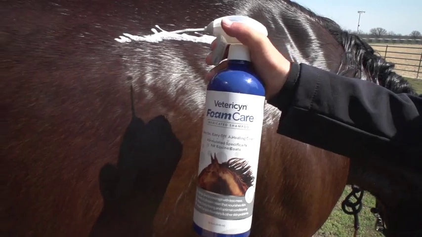 Vetericyn FoamCare Medicated Horse Shampoo | Sprayable Equine Shampoo with Ketoconazole for Healing Relief from Itchy Skin, Fungal Issues, Ring Worm, and More. 32 fl oz.