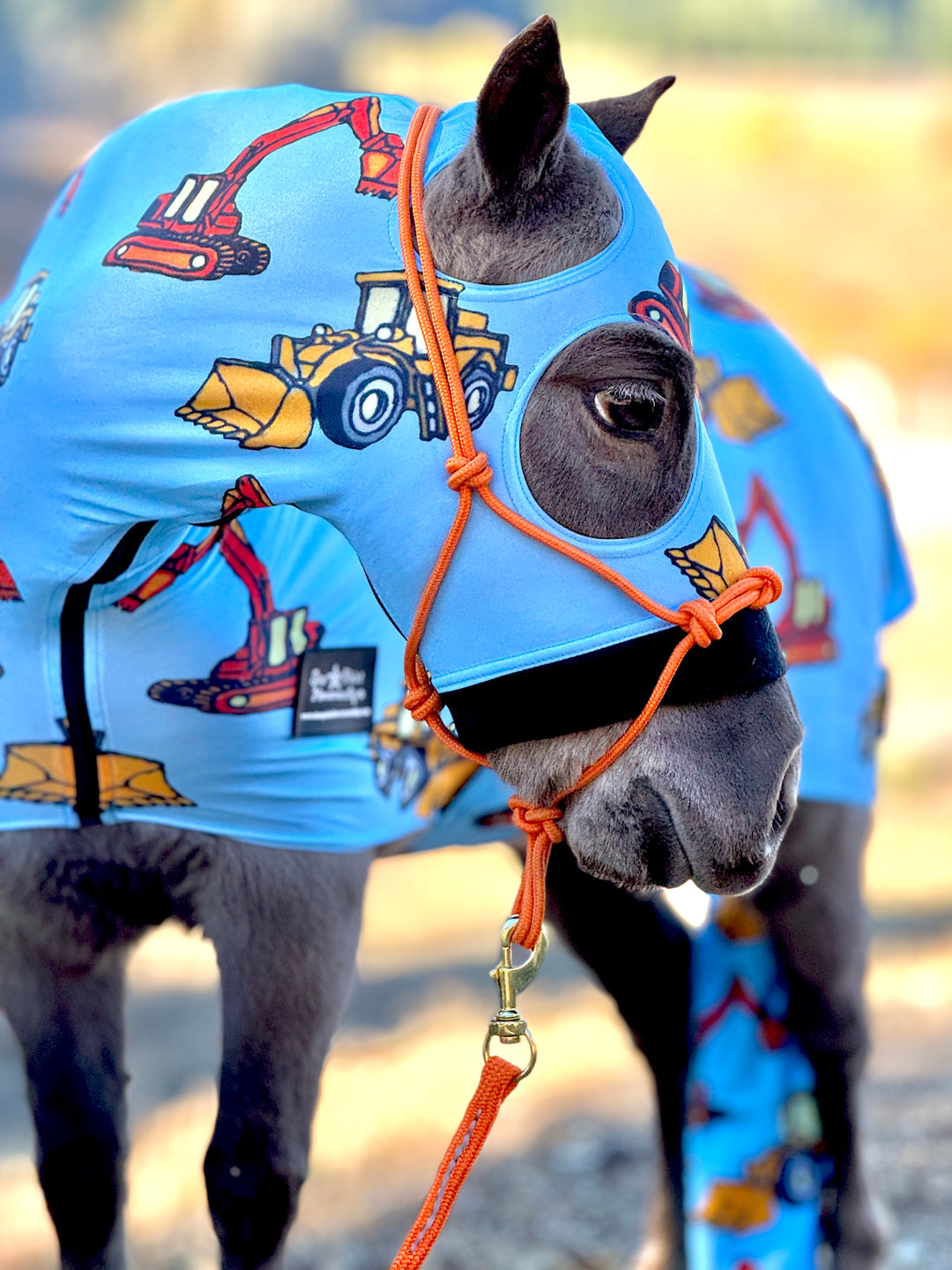 Miniature Horse-Pony Lycra Printed Body Suits