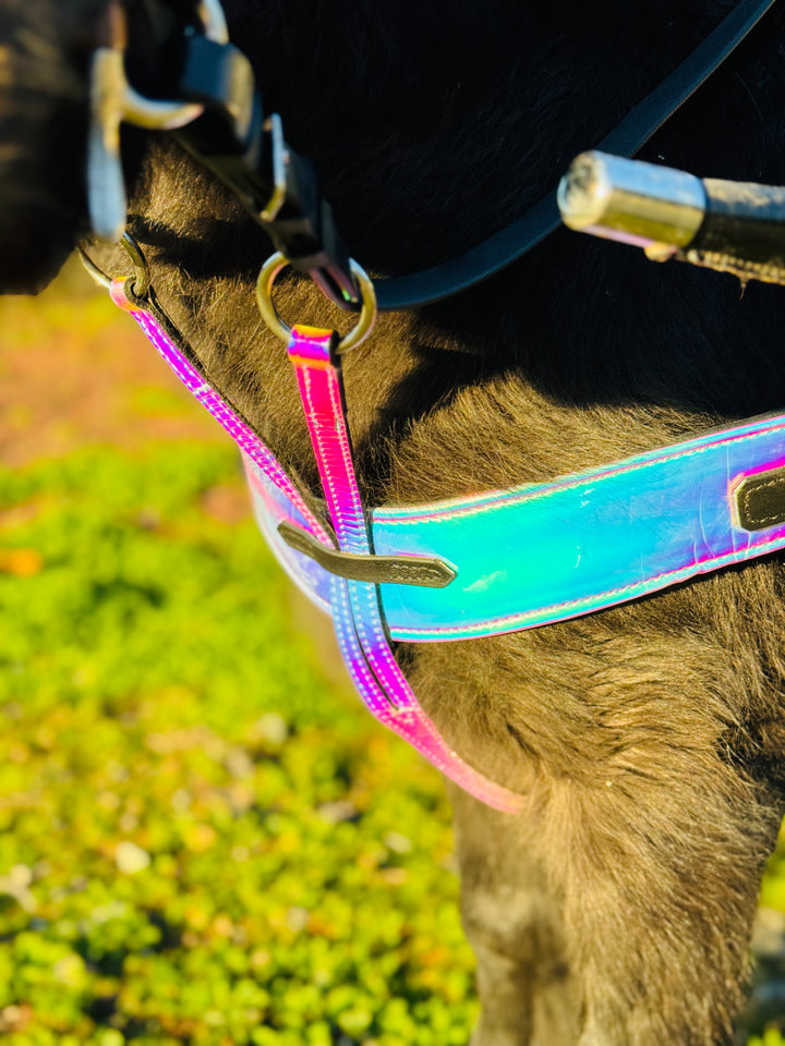 Miniature Horse Silver Holographic Leather Harness Set