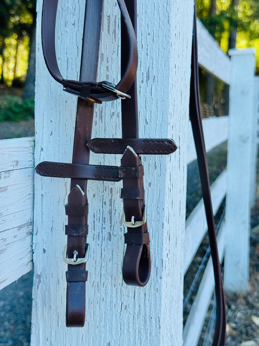Miniature Horse-Pony Biothane Driving Reins 24'