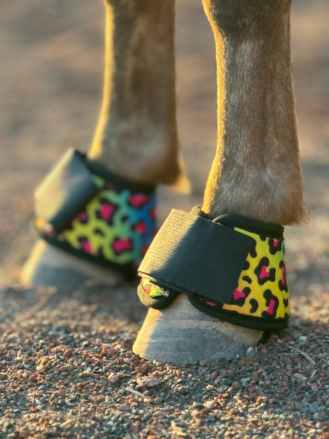 Miniature Horse Bell Boots (Set of 2)