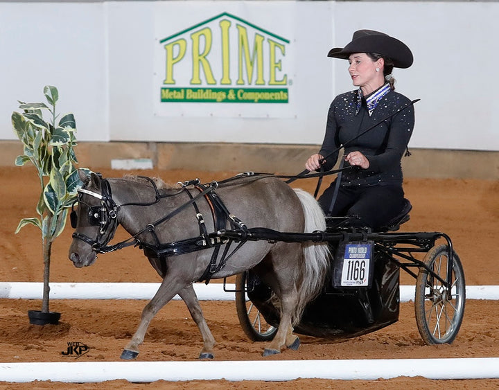 Miniature Horse Leather Show Harness Set - 30-38" Mini