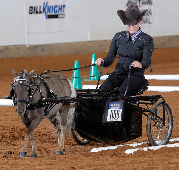 Miniature Horse Leather Show Harness Set - 30-38" Mini