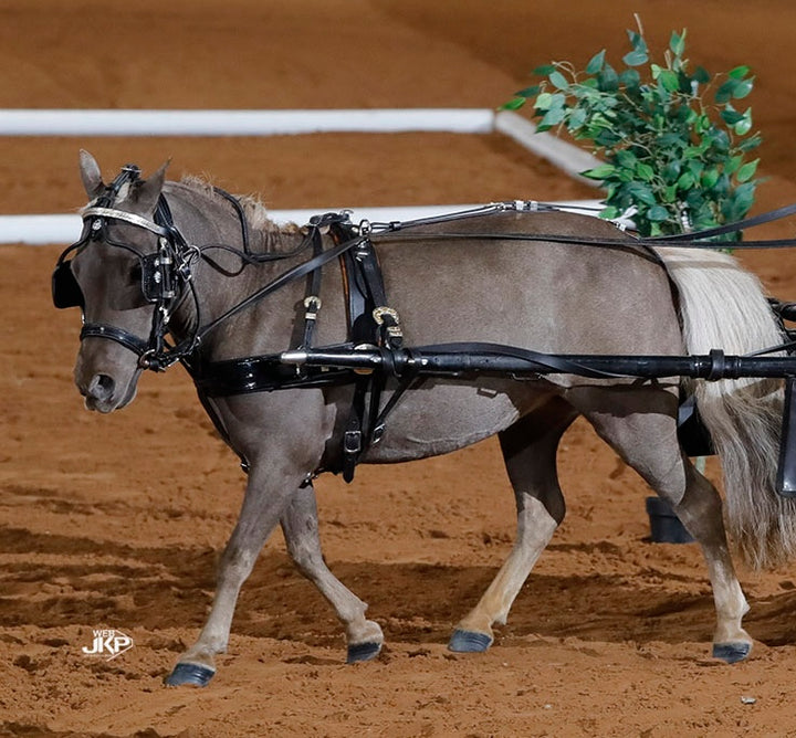 Miniature Horse Leather Show Harness Set - 30-38" Mini