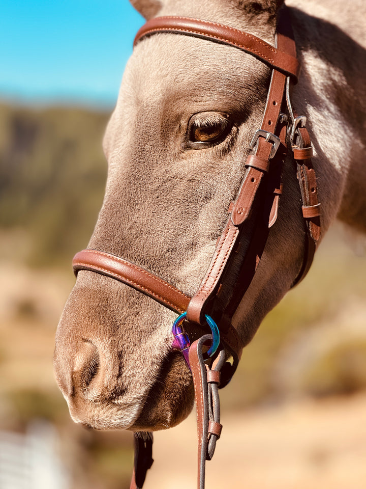 Miniature Horse Brown Leather English Bridle & Braided Reins Set