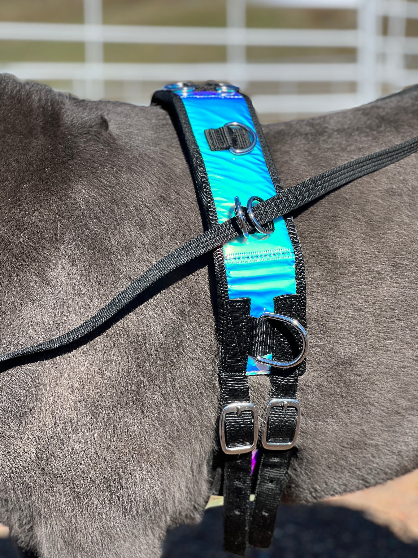 Surcingle Set Miniature Horse-Pony Ground Driving Surcingle/Reins Set – Star Point ...
