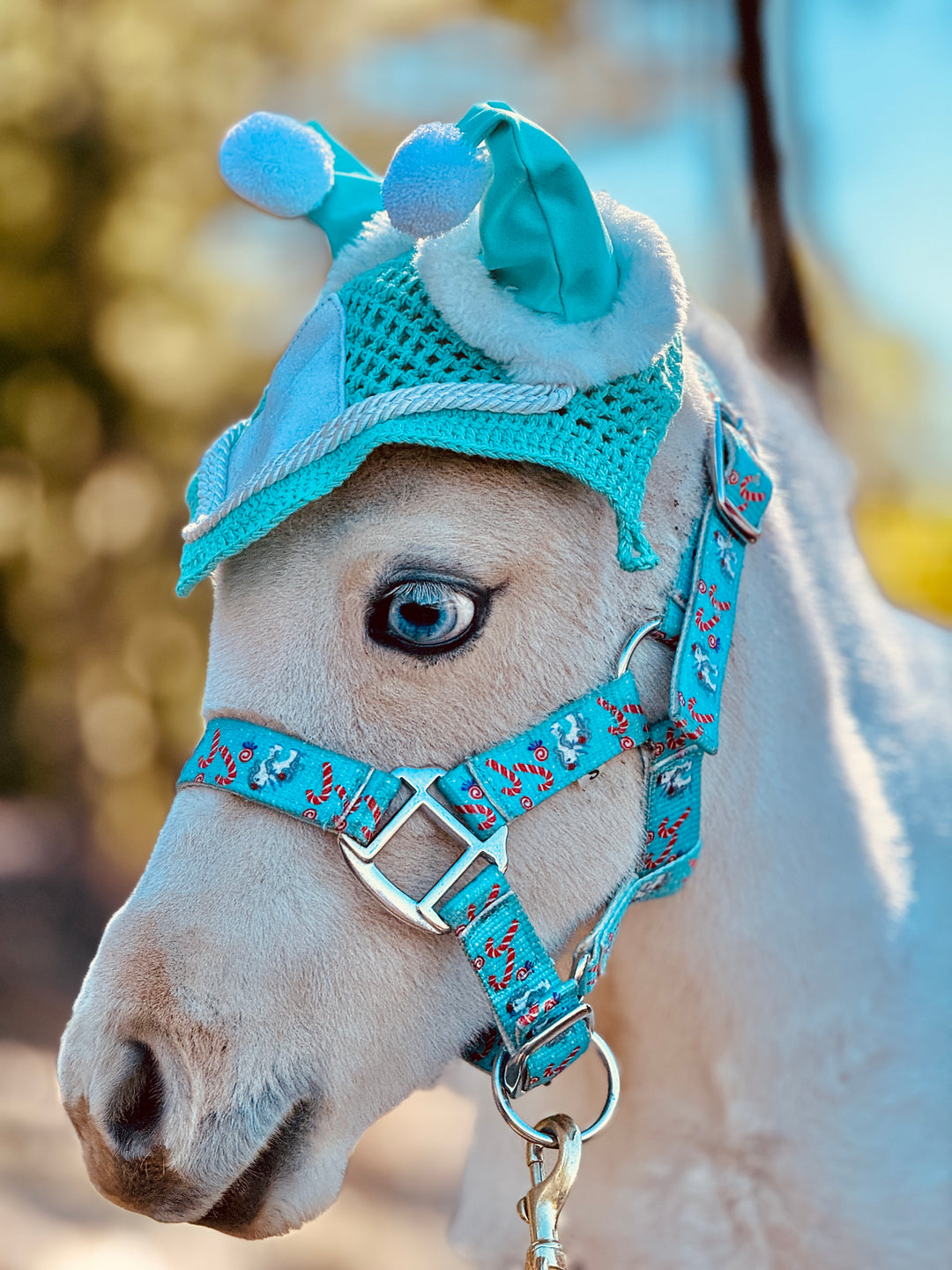 Miniature Horse-Pony Santa Hat Ear Bonnets