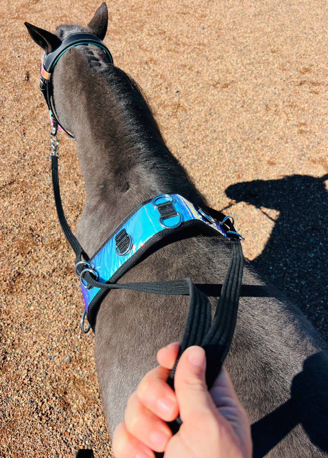 Surcingle Set Miniature Horse-Pony Ground Driving Surcingle/Reins Set – Star Point ...