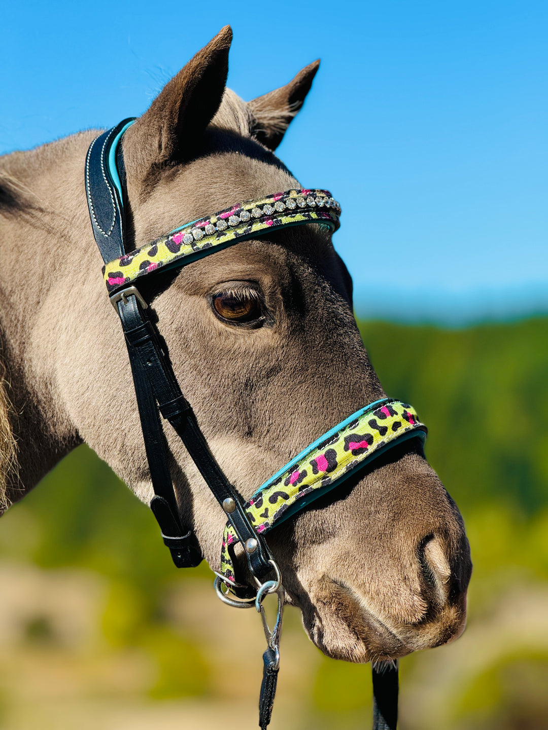 Mini-Pony Bridle-Side Pull Leather Combo w/Reins