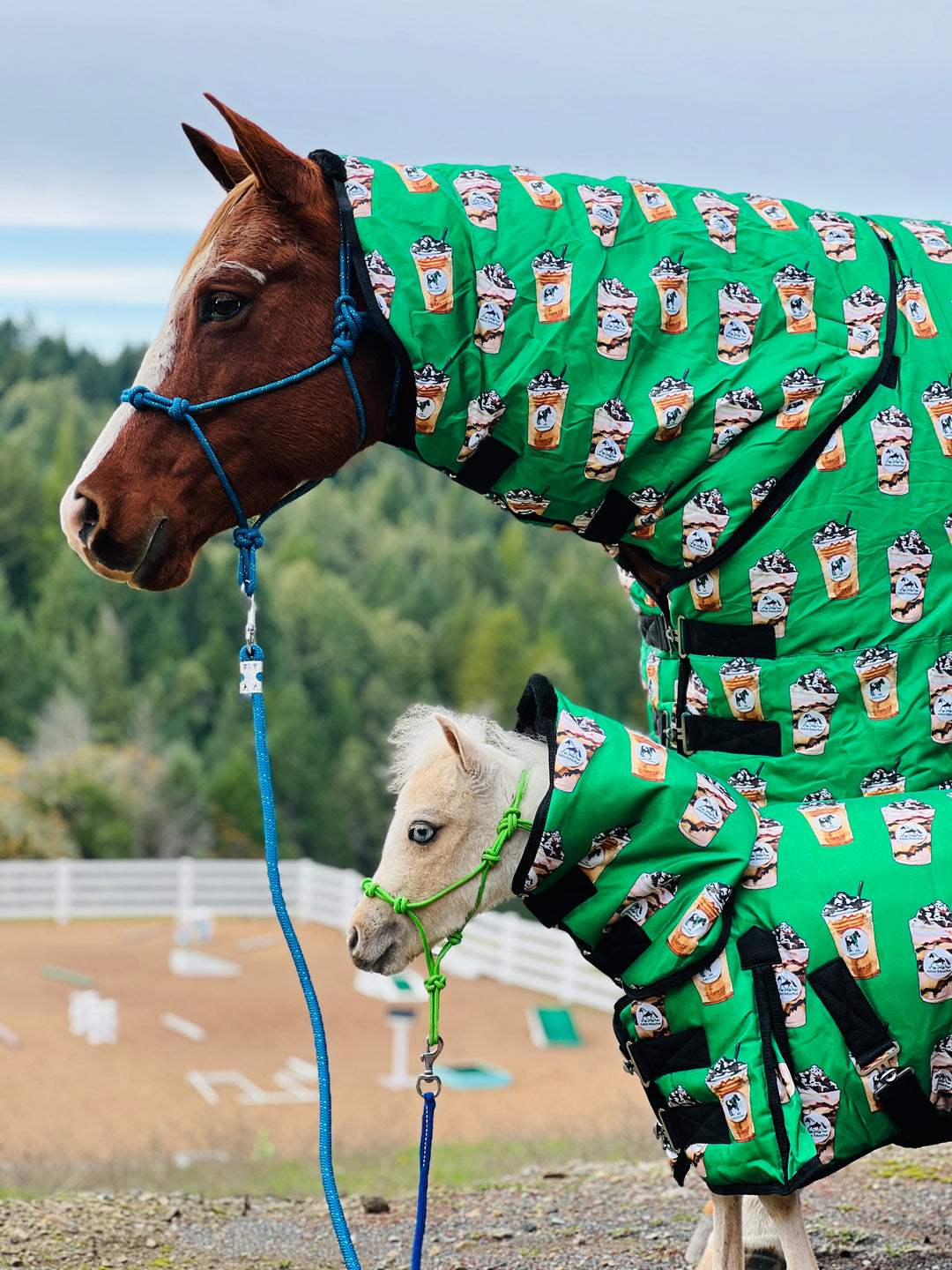 Star Point Horsemanship Rainbow Cheetah Pattern Miniature Horse Lycra Body  Suit at Tractor Supply Co.