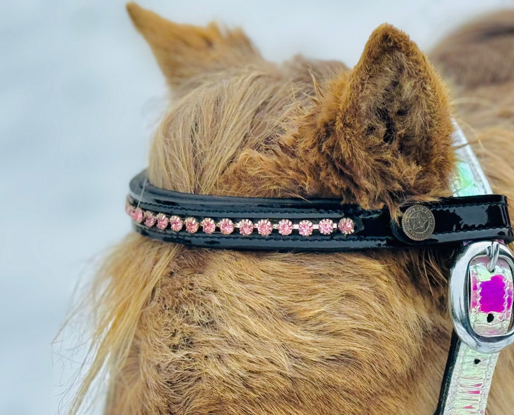 Miniature Horse Rhinestone Browbands Snap-On - Star Point Horsemanship