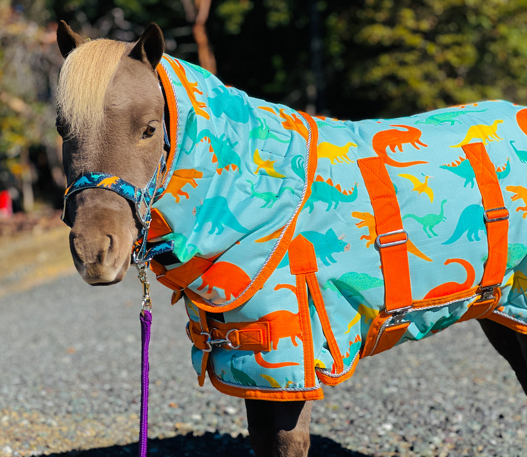 Blue Dinosaur 220 Hooded Waterproof Blanket - 38-80' – Star Point Horsemanship