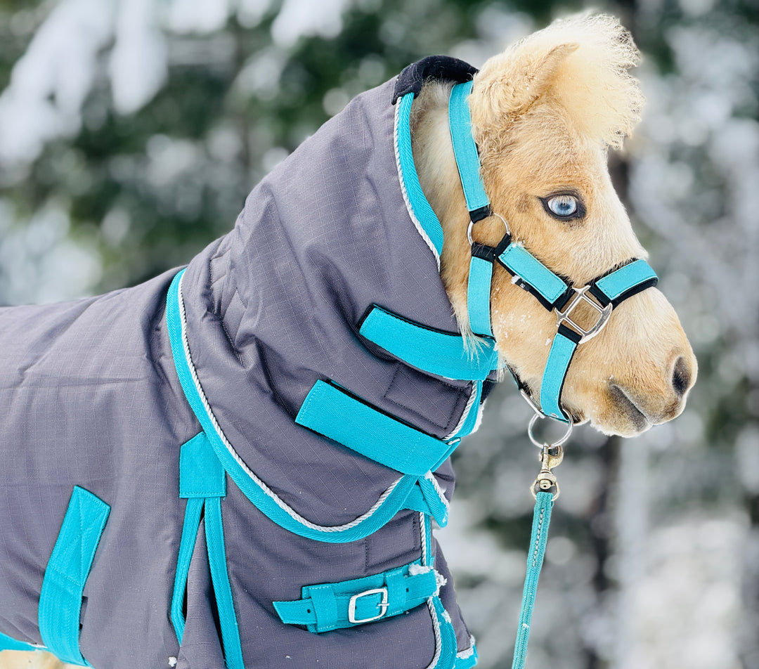 Star Point 1200D Waterproof Turnout Blanket — 400g Extra-Heavy Insulation (38-54")