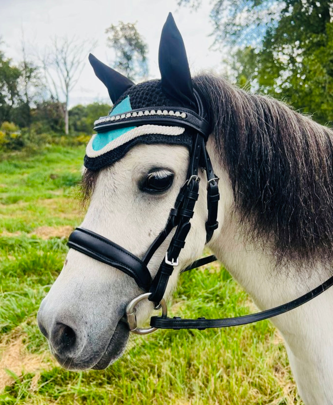 Ear Bonnet Fly Veil - Mini to Horse Size