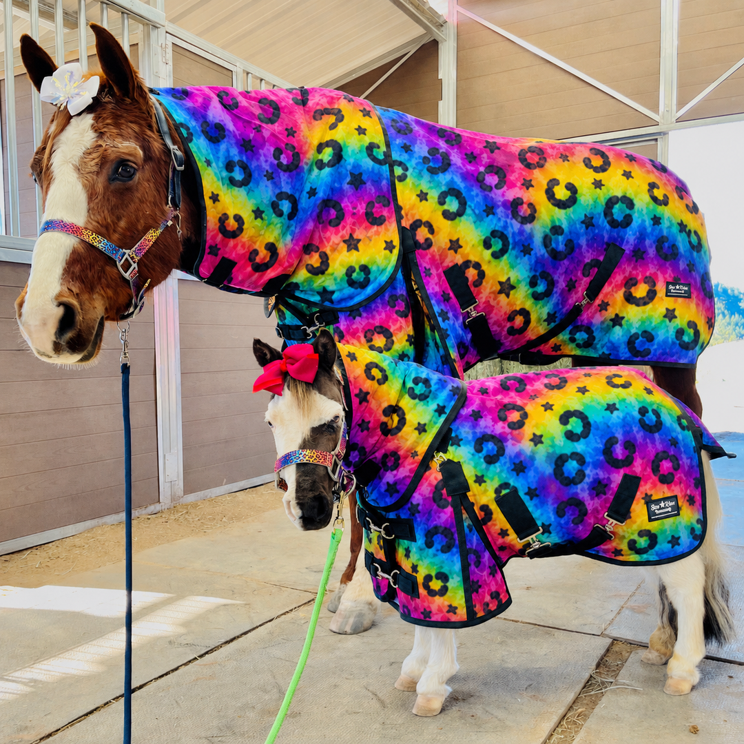 Star Point 1200D Waterproof Turnout Sheet — No Fill | Rainbow Rodeo Print (38-80")