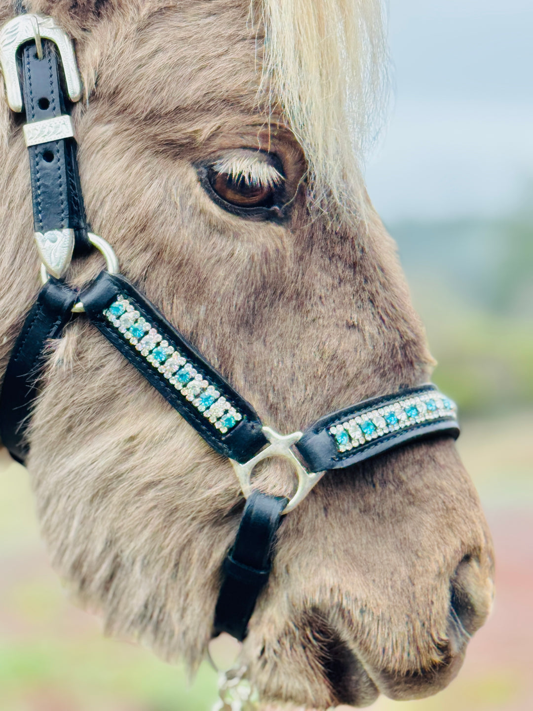 Miniature Horse Rhinestone Leather Show Halter & Lead Set