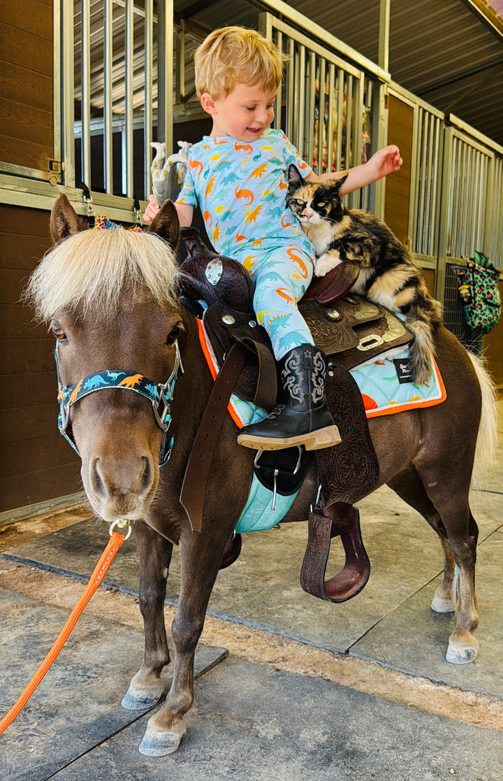 Dinosaur Leggings 2T-7