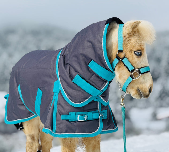 Star Point 1200D Waterproof Turnout Blanket — 400g Extra-Heavy Insulation (38-54")