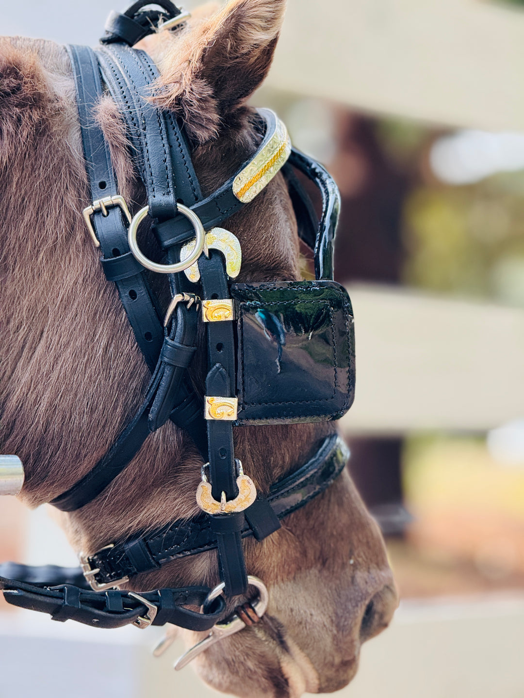 Miniature Horse Leather Show Harness Set - 30-38" Mini