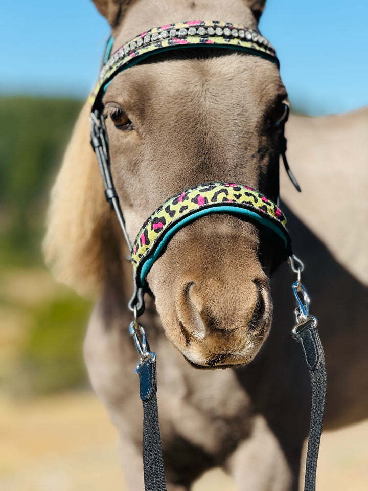 Mini-Pony Bridle-Side Pull Leather Combo w/Reins