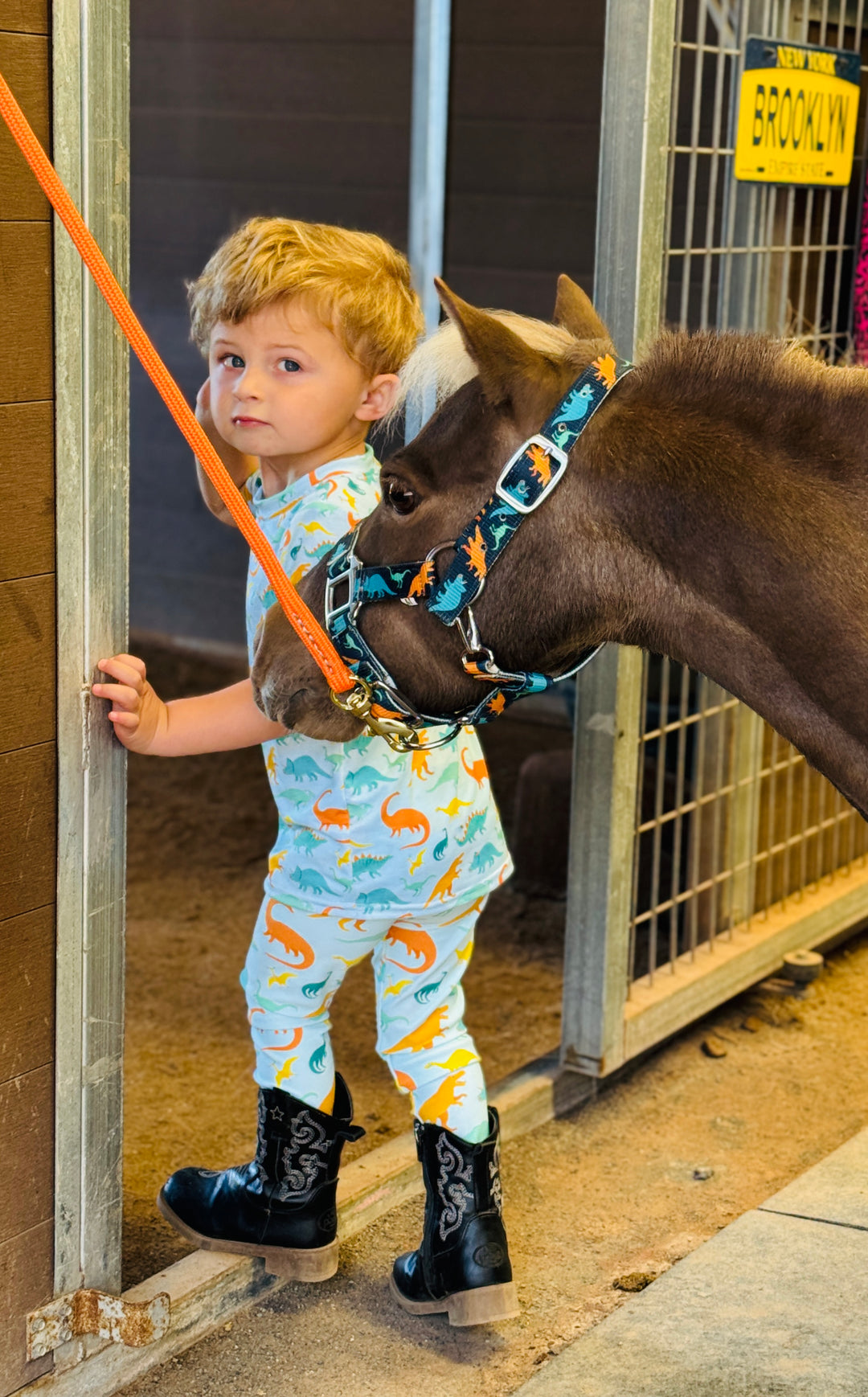 Dinosaur Leggings 2T-7