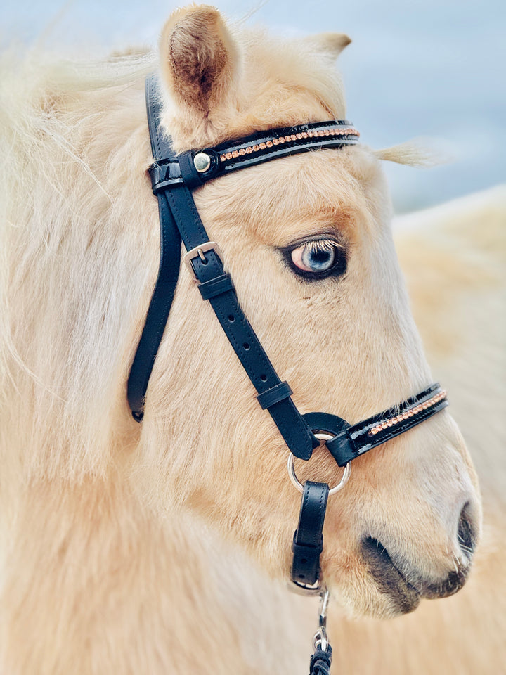 Miniature Horse Hunter Bridle & Braided Leather Lead Set