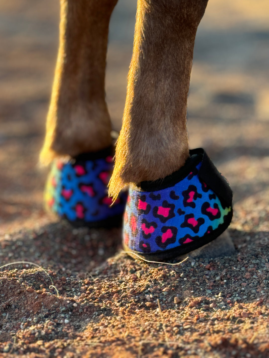 Miniature Horse Bell Boots (Set of 2)