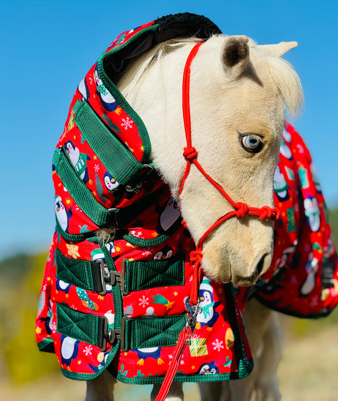 RED PENGUIN HOLIDAY BLANKET Miniature Horse