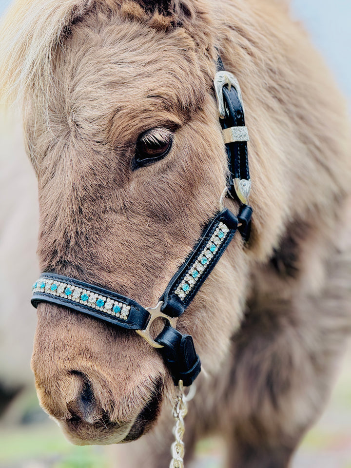 Miniature Horse Rhinestone Leather Show Halter & Lead Set