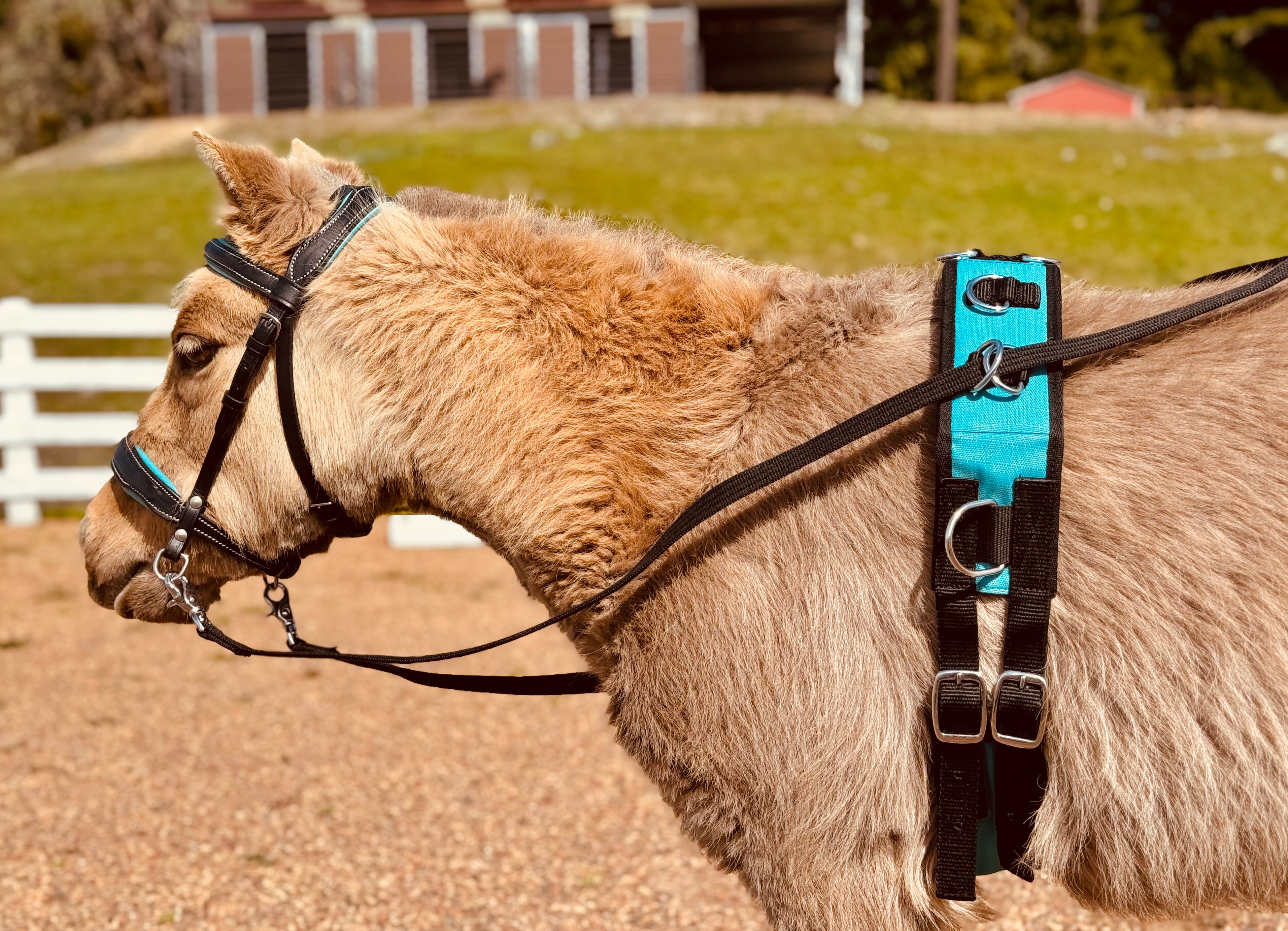 Miniature Horse-Pony Ground Driving Surcingle/Reins Set