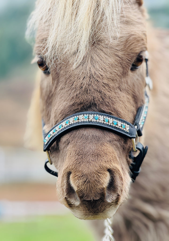 Miniature Horse Rhinestone Leather Show Halter & Lead Set